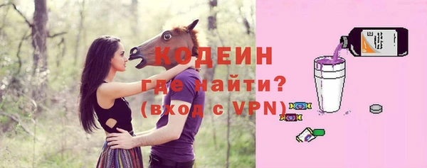 ECSTASY Бородино