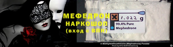 ECSTASY Бородино