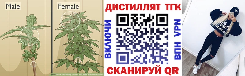 где можно купить наркотик  mega ссылки  Дистиллят ТГК THC oil  Буй 