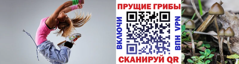 Галлюциногенные грибы Magic Shrooms  Буй 